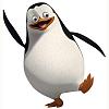 Penguin in Madagascar