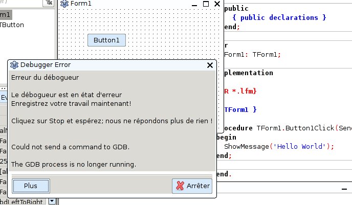 Nom : lazarus_errue_debugger.jpg
Affichages : 314
Taille : 65,2 Ko