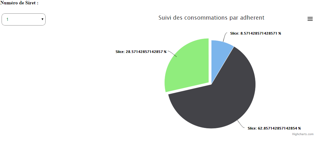 Nom : probleme highcharts.png
Affichages : 568
Taille : 19,0 Ko