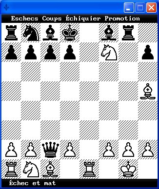 Nom : chess.jpg
Affichages : 231
Taille : 62,4 Ko