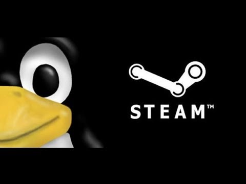 Nom : linux-steam.jpg
Affichages : 2776
Taille : 11,2 Ko