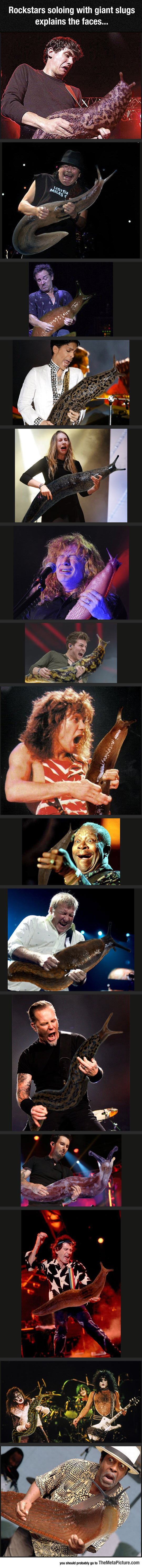 Nom : funny-rock-stars-guitar-slug.jpg
Affichages : 200
Taille : 581,9 Ko