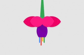 Nom : google-fuchsia-331x219.png
Affichages : 9855
Taille : 32,9 Ko