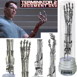 Nom : Terminator2EndoArmOfficiel302.jpg
Affichages : 654
Taille : 23,2 Ko