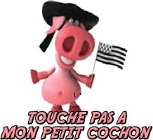 Nom : cochon.jpg
Affichages : 3301
Taille : 15,1 Ko