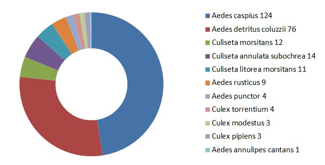 Nom : exemple_anneau.JPG
Affichages : 804
Taille : 34,2 Ko