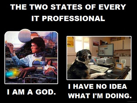Nom : cool-IT-professional-dog-God.jpg
Affichages : 1969
Taille : 57,8 Ko