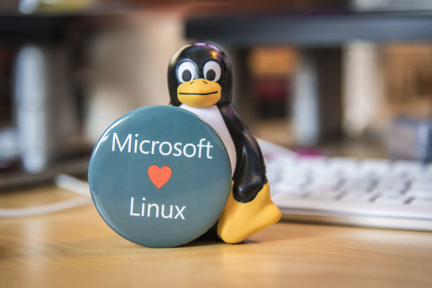 Nom : microsoft-linux-100615479-primary.idge.jpg
Affichages : 5326
Taille : 67,3 Ko