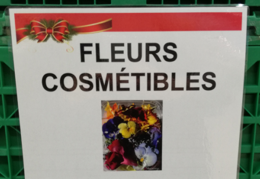 Nom : cosmtibles.png
Affichages : 429
Taille : 206,5 Ko