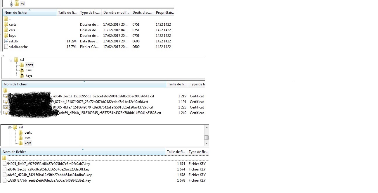 Nom : FTP SSL.jpg
Affichages : 187
Taille : 145,6 Ko