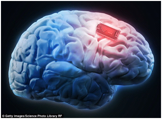 Nom : Brain.PNG
Affichages : 6767
Taille : 91,4 Ko