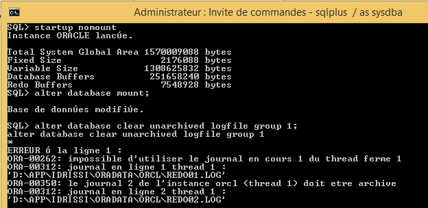 Nom : result_cmd.PNG
Affichages : 2383
Taille : 14,4 Ko