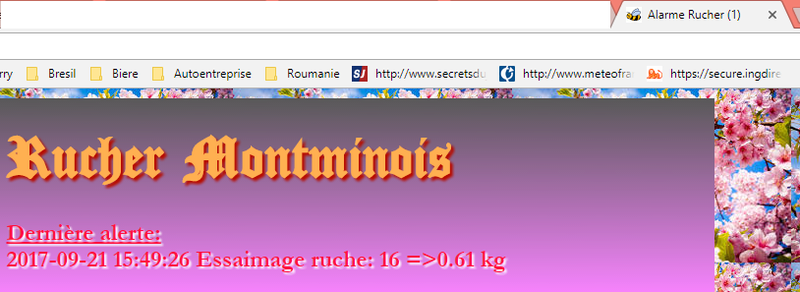 Nom : alarme11.png
Affichages : 132
Taille : 143,4 Ko