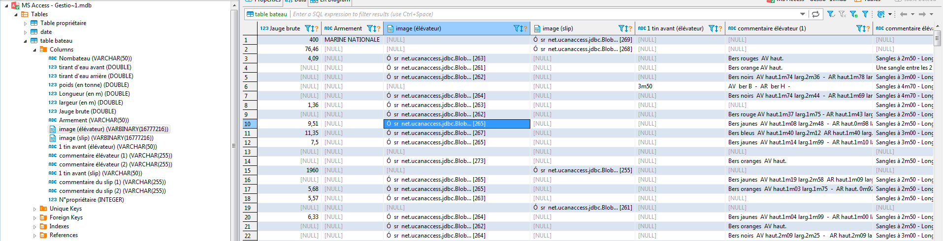 Nom : Capture bdd access.PNG
Affichages : 231
Taille : 97,8 Ko