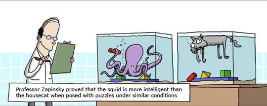 Nom : funny-comic-squid-cat.jpg
Affichages : 1126
Taille : 29,6 Ko
