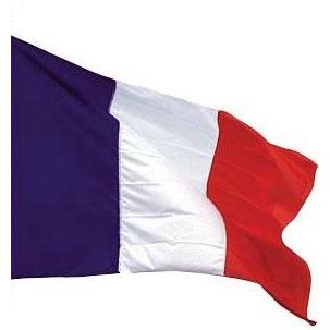 Nom : drapeau-france.jpg
Affichages : 4629
Taille : 9,6 Ko