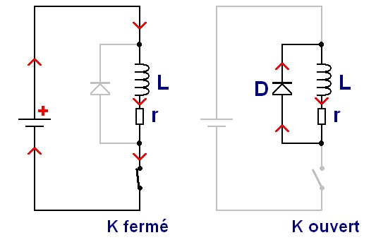 Nom : la-diode-de-roue-libre.jpg
Affichages : 755
Taille : 17,1 Ko