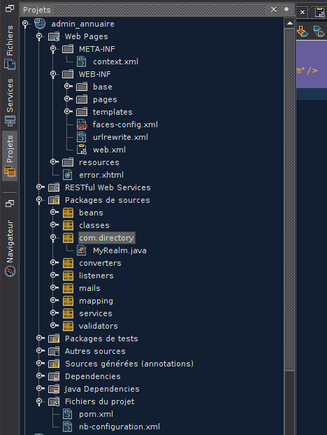 Nom : netbeans.png
Affichages : 170
Taille : 40,6 Ko