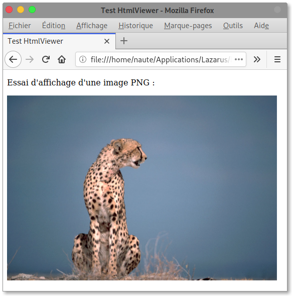 Nom : affichage_firefox.png
Affichages : 379
Taille : 255,1 Ko