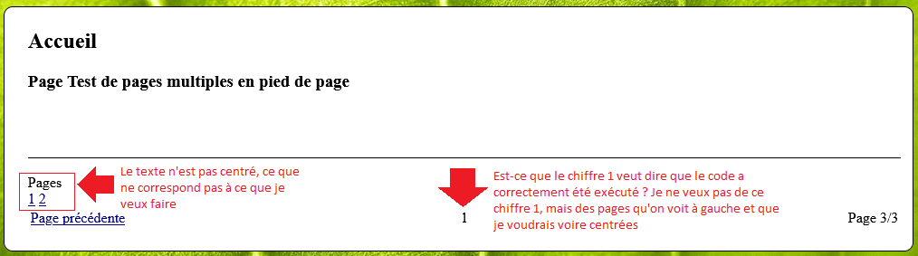 Nom : ProblemePages.png
Affichages : 148
Taille : 54,0 Ko