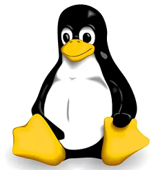 Nom : linuxB.png
Affichages : 16086
Taille : 41,1 Ko