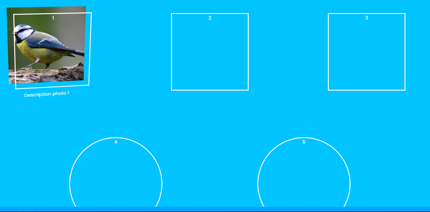Nom : Capture dcran 2022-11-14 234126.png
Affichages : 177
Taille : 151,3 Ko