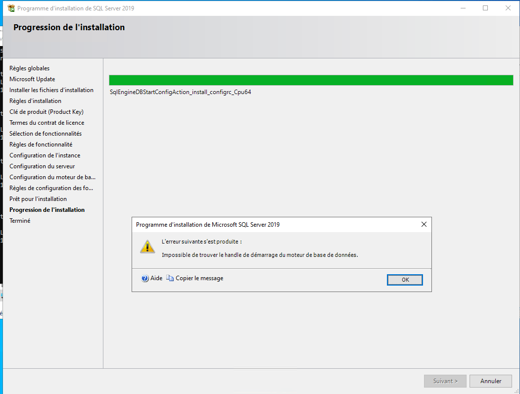 Nom : sqlserver2.png
Affichages : 186
Taille : 43,5 Ko