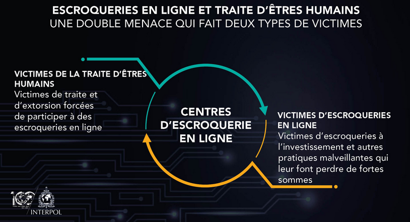 Nom : victime.png
Affichages : 1121
Taille : 310,0 Ko