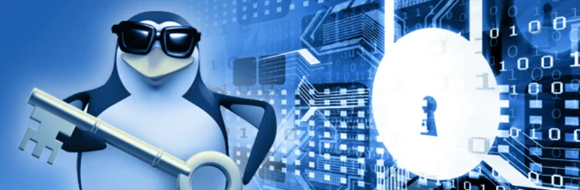 Des milliers de systèmes Linux infectés par le logiciel malveillant furtif Perfctl depuis 2021, Illustrant les défis de sécurité auxquels Linux fait face