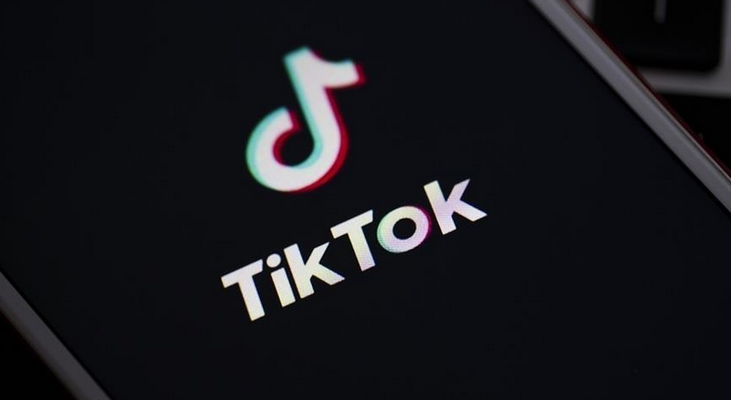 Nom : tiktok.png
Affichages : 5462
Taille : 146,4 Ko