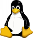 Utilisateurs de GNU/Linux sur leur ordinateur personnel ou professionnel.