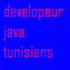 c'est un groupe de développeur java en tunisie