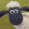 Avatar de shaun_the_sheep